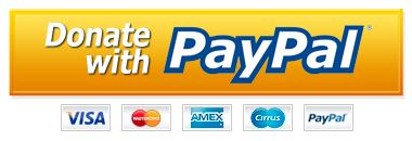 PayPal-Donate-Button-PNG-HD PayPal-Donate-Button-PNG-HD